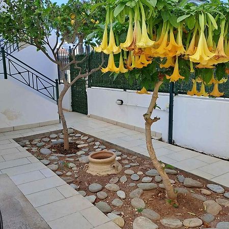 Dimitris Place Near Athens Airport Koropi Exterior foto