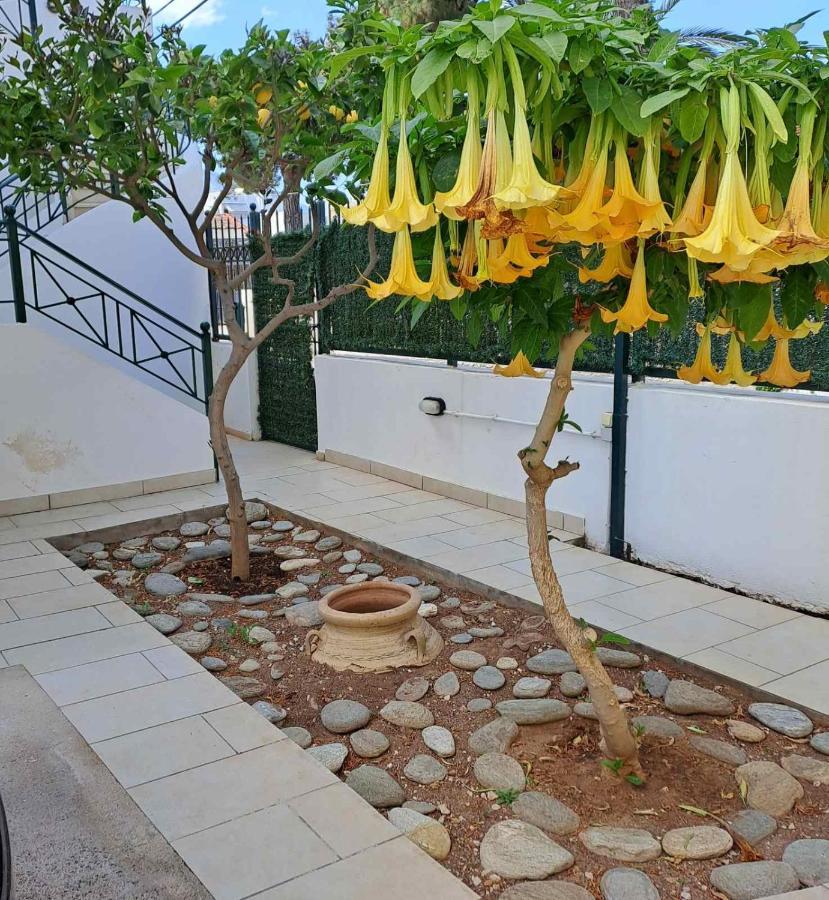 Dimitris Place Near Athens Airport Koropi Exterior foto