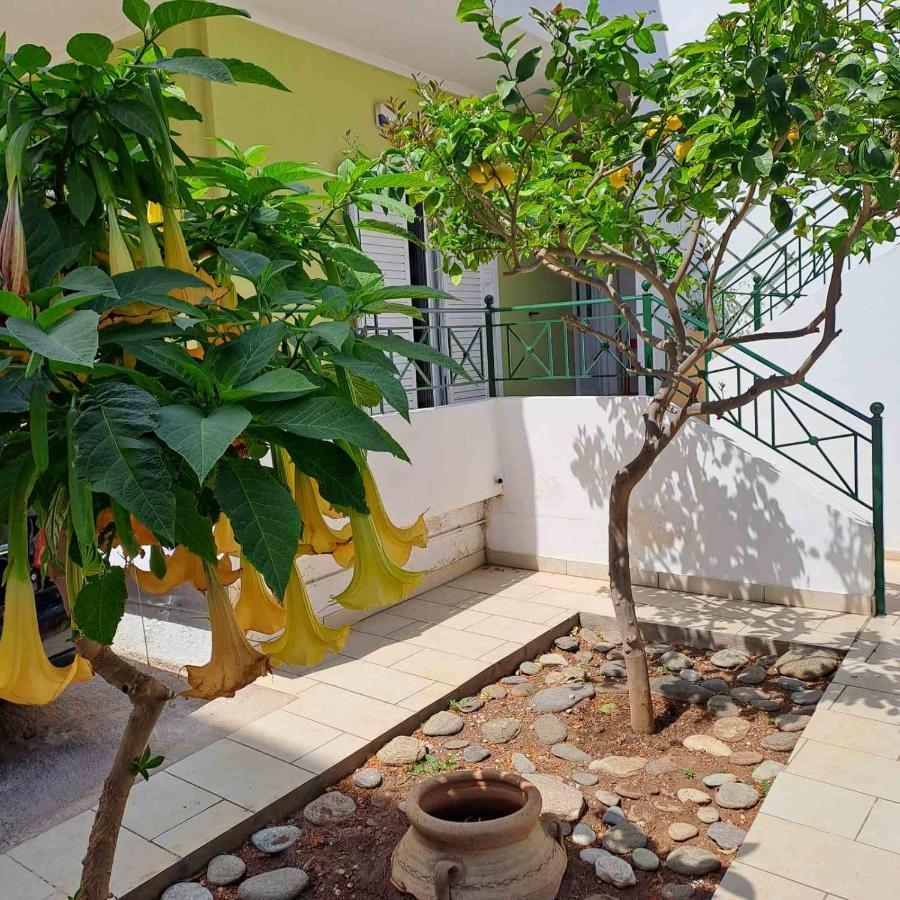 Dimitris Place Near Athens Airport Koropi Exterior foto